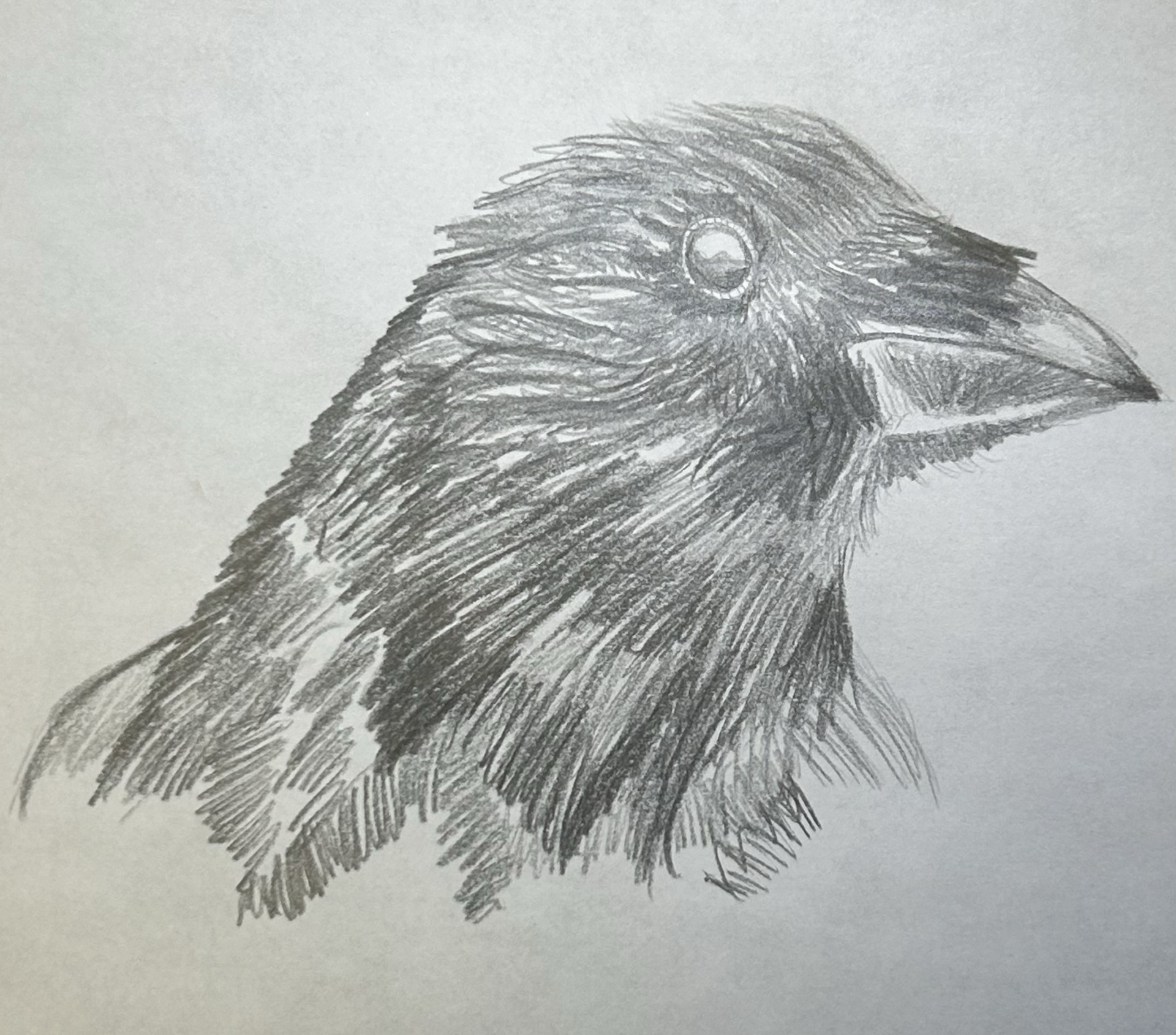 Drawings